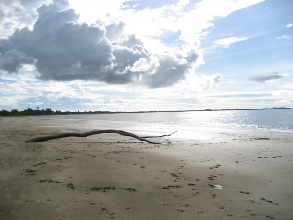 N773601391 1368776 8732